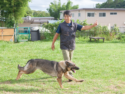 木川さんと犬